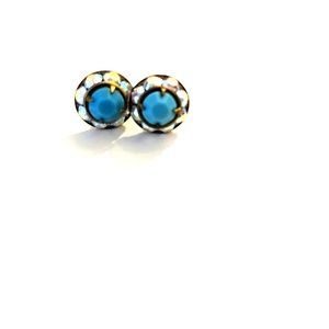 Turquoise earings